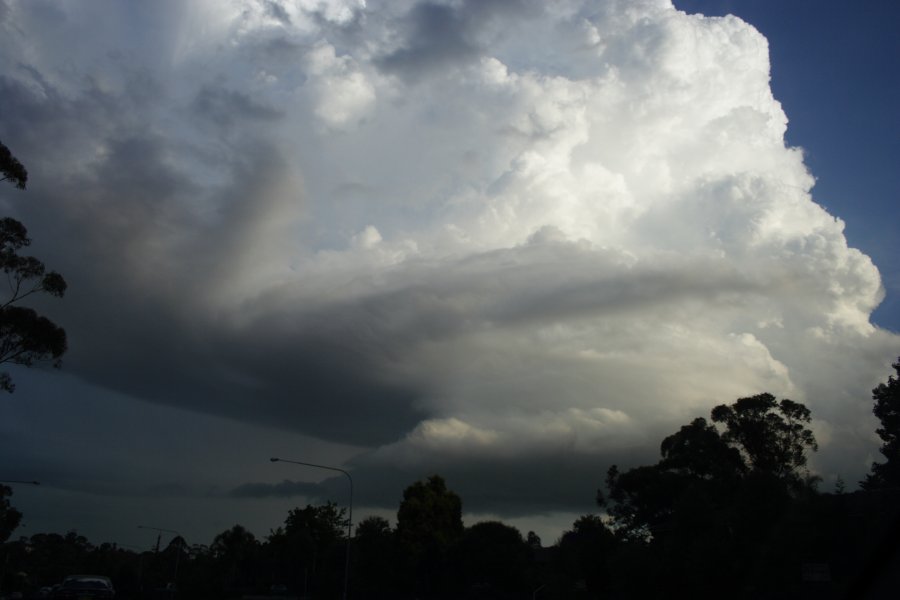 updraft thunderstorm_updrafts : Baulkham Hills, NSW   29 March 2008