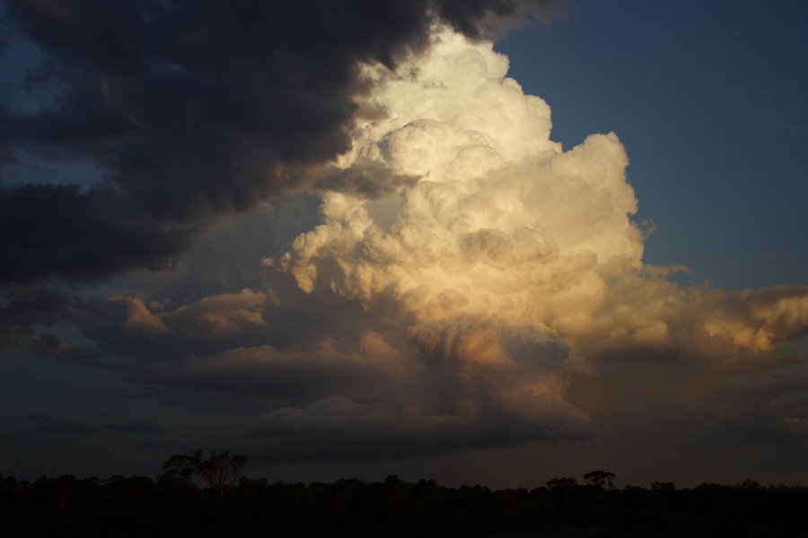 thunderstorm cumulonimbus_incus : Schofields, NSW   29 March 2008