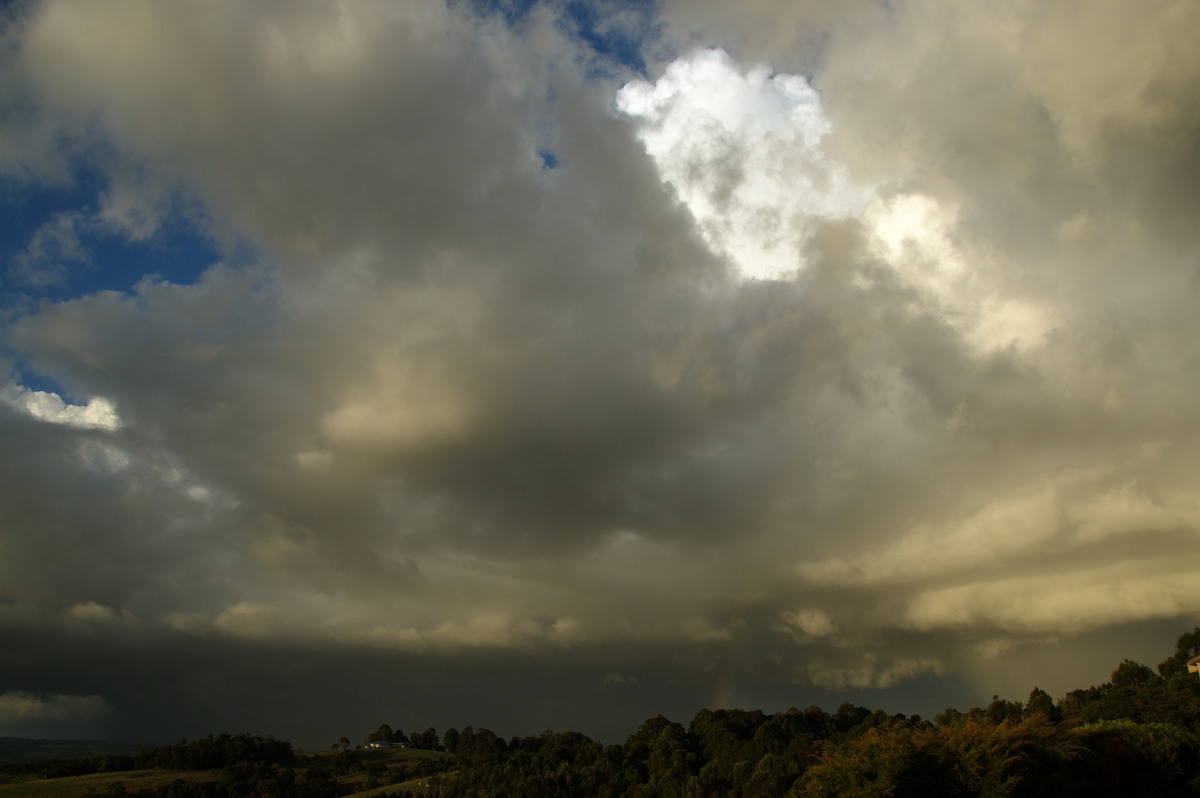thunderstorm cumulonimbus_calvus : McLeans Ridges, NSW   6 April 2008