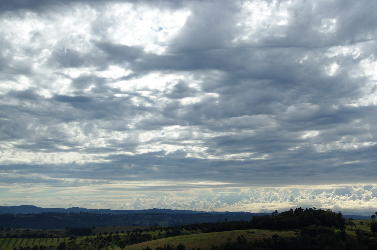 altocumulus altocumulus_cloud : McLeans Ridges, NSW   17 May 2008