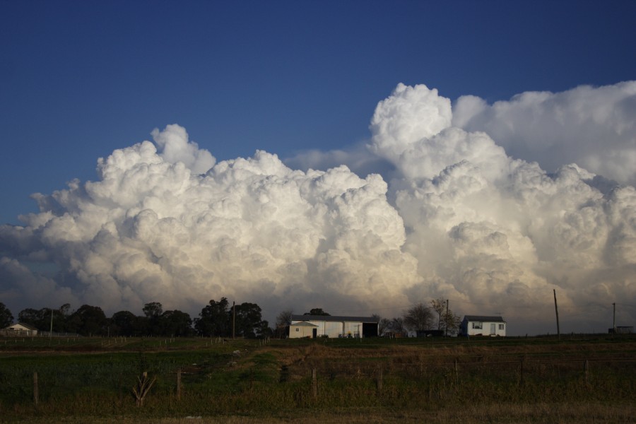 thunderstorm cumulonimbus_calvus : Schofields, NSW   28 May 2008