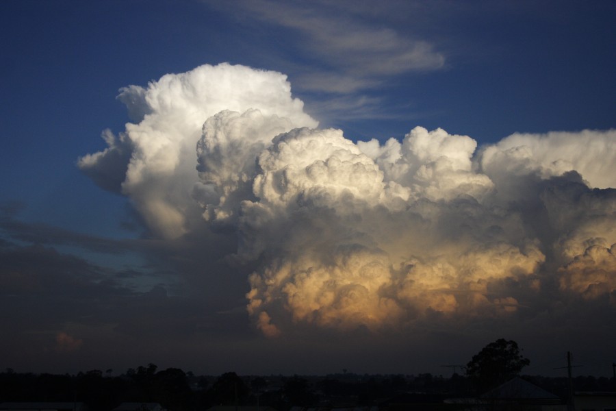 thunderstorm cumulonimbus_calvus : Schofields, NSW   28 May 2008
