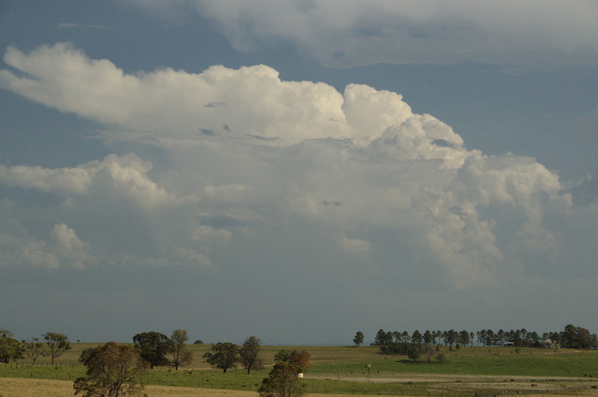 thunderstorm cumulonimbus_incus : near Kyogle, NSW   20 September 2008