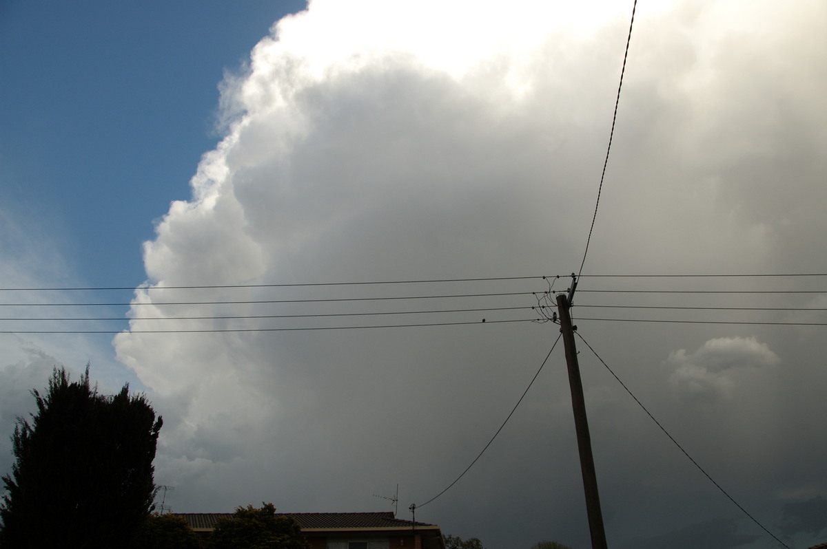 thunderstorm cumulonimbus_incus : Geneva, NSW   20 September 2008