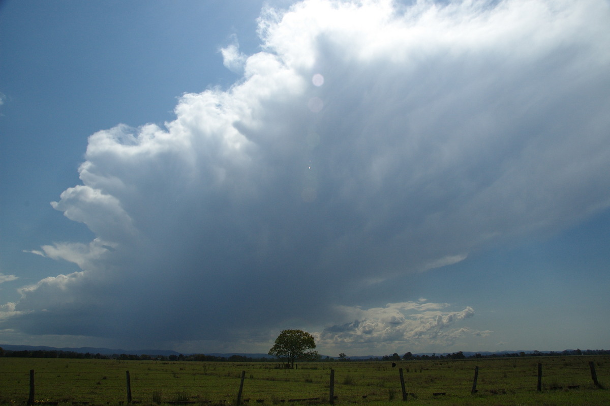 thunderstorm cumulonimbus_incus : N of Casino, NSW   21 September 2008