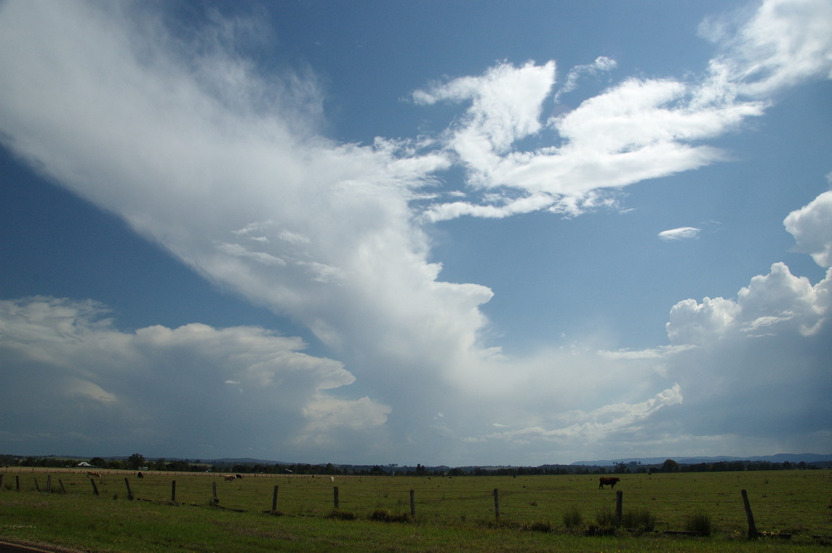 thunderstorm cumulonimbus_incus : N of Casino, NSW   21 September 2008