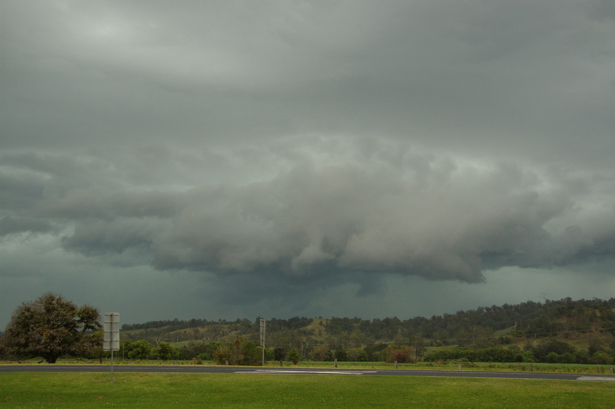 cumulonimbus thunderstorm_base : Wiangaree, NSW   21 September 2008