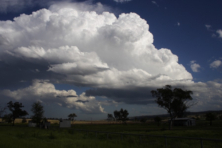 thunderstorm cumulonimbus_incus : between Scone and Merriwa, NSW   5 October 2008