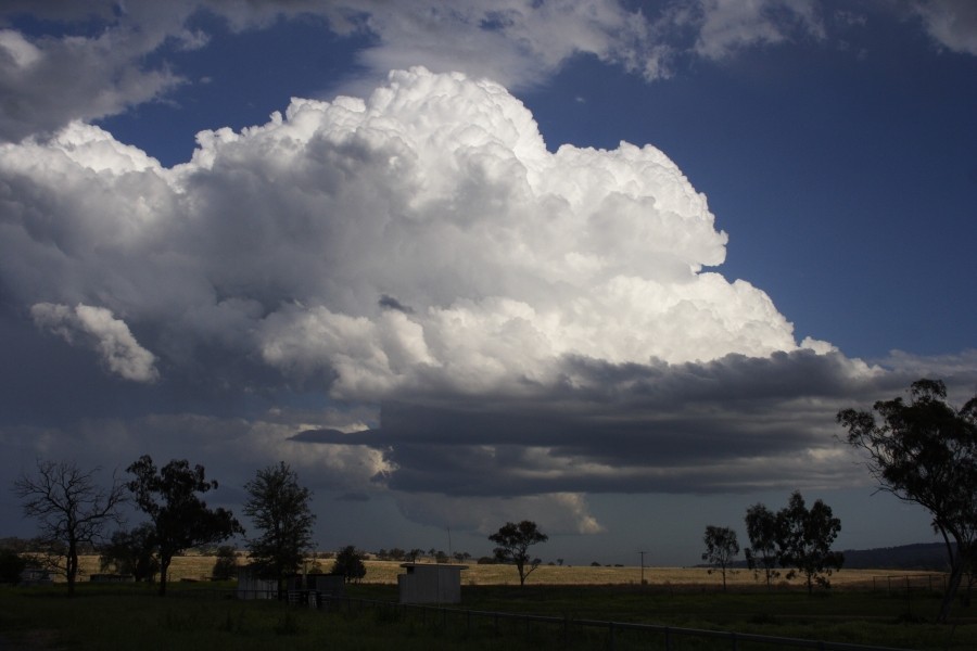 inflowband thunderstorm_inflow_band : between Scone and Merriwa, NSW   5 October 2008