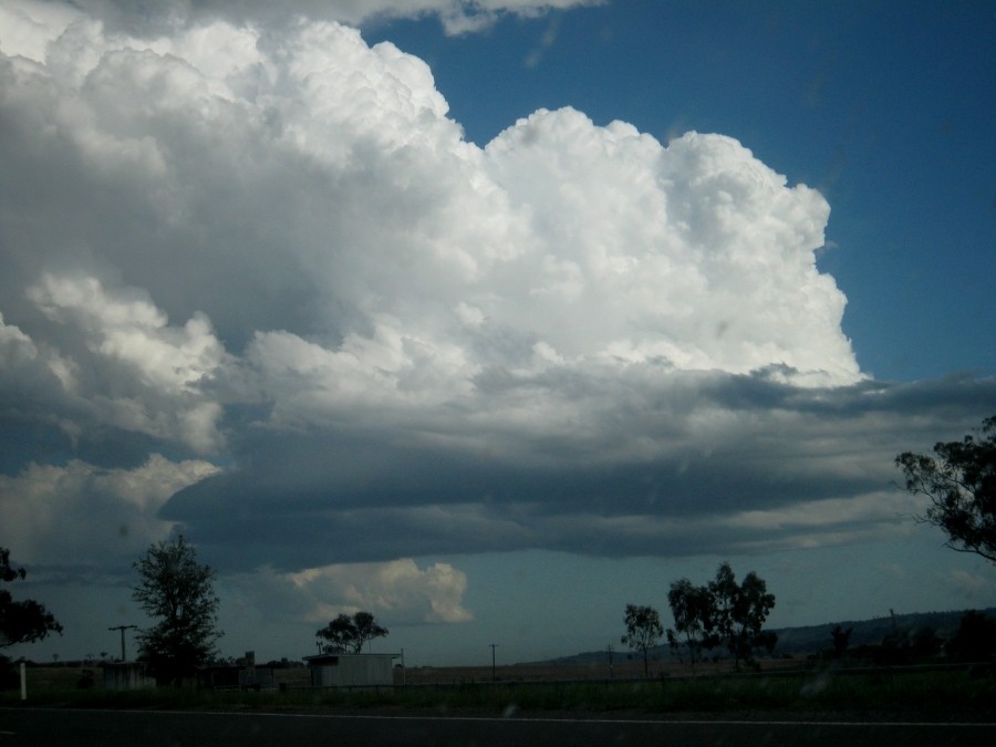 thunderstorm cumulonimbus_calvus : between Scone and Merriwa, NSW   5 October 2008