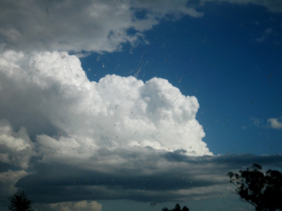 thunderstorm cumulonimbus_calvus : between Scone and Merriwa, NSW   5 October 2008