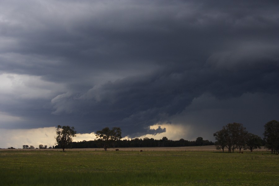 cumulonimbus thunderstorm_base : Dunedoo, NSW   10 October 2008