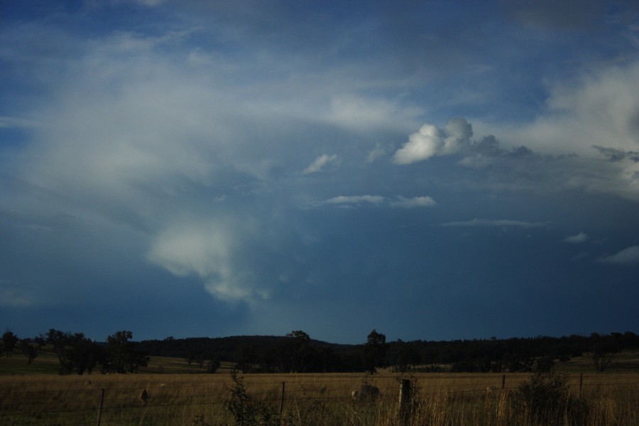 thunderstorm cumulonimbus_incus : E of Coolah, NSW   10 October 2008