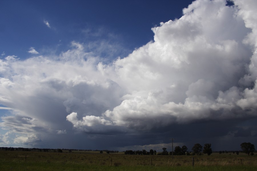 thunderstorm cumulonimbus_incus : Between Gilgandra and Dubbo, NSW   11 October 2008