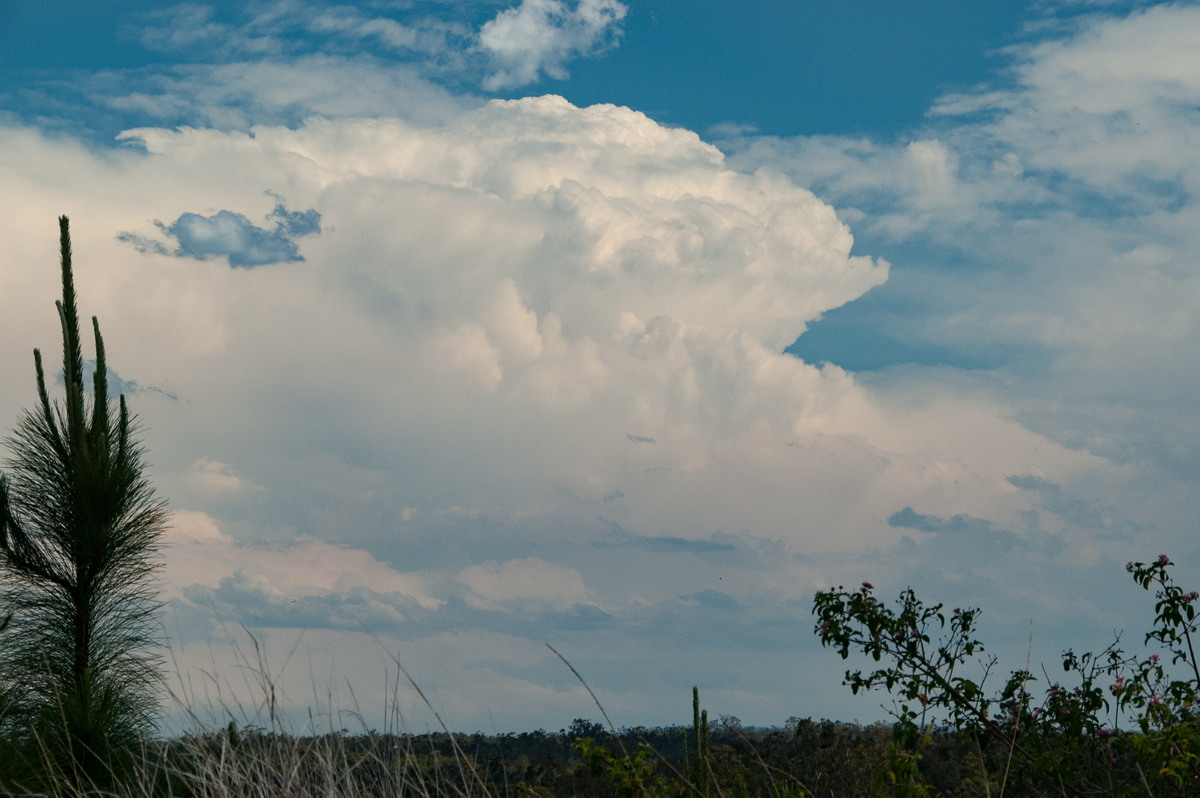thunderstorm cumulonimbus_incus : Whiporie, NSW   21 October 2008
