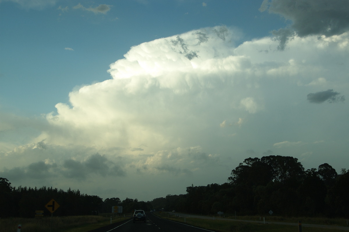 thunderstorm cumulonimbus_incus : Harwood, NSW   21 October 2008