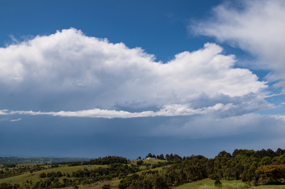 thunderstorm cumulonimbus_incus : McLeans Ridges, NSW   22 October 2008