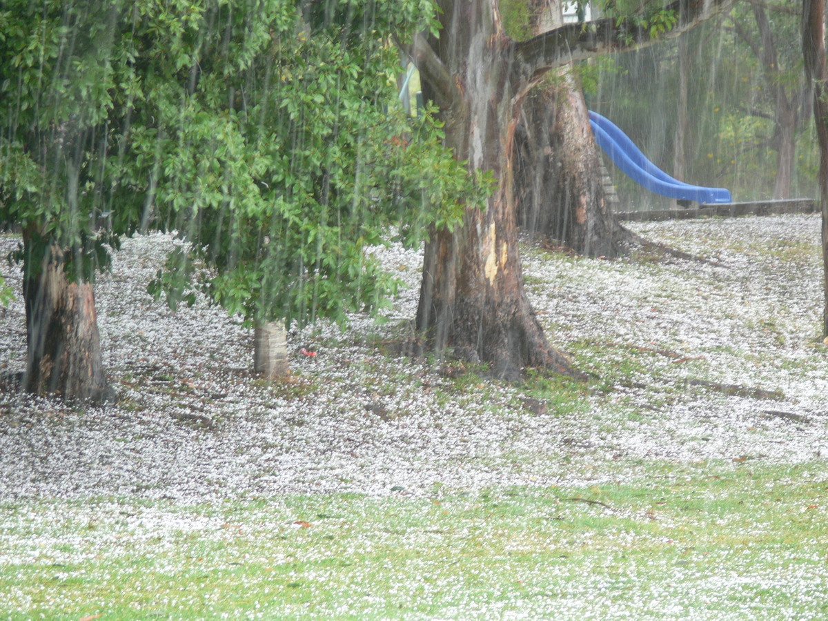 precipitation precipitation_rain : Lismore, NSW   22 October 2008