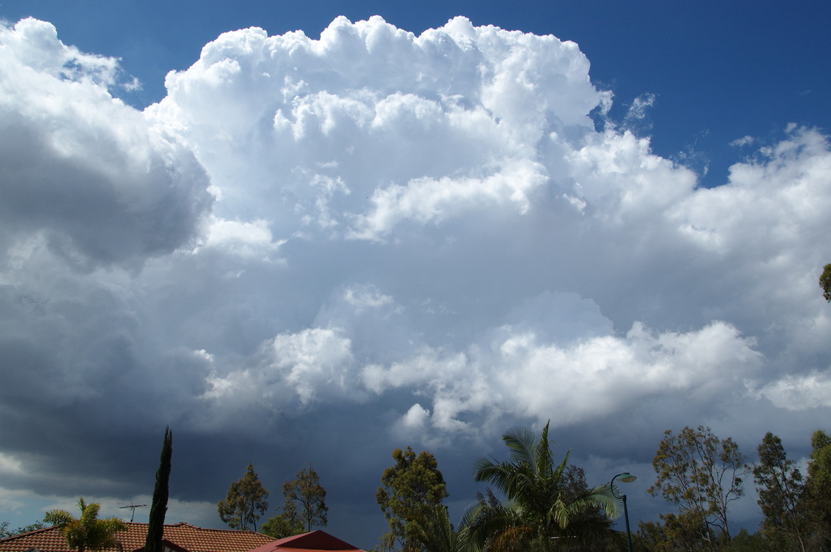 thunderstorm cumulonimbus_incus : Heritage Park, QLD   25 October 2008
