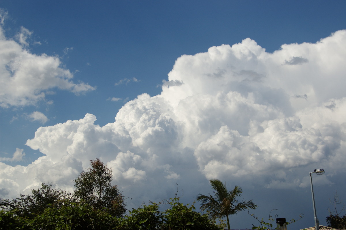 thunderstorm cumulonimbus_incus : Heritage Park, QLD   25 October 2008