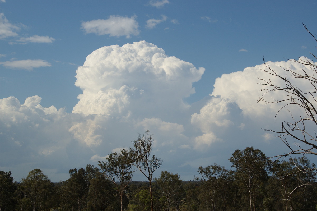 thunderstorm cumulonimbus_incus : Munruben, QLD   25 October 2008