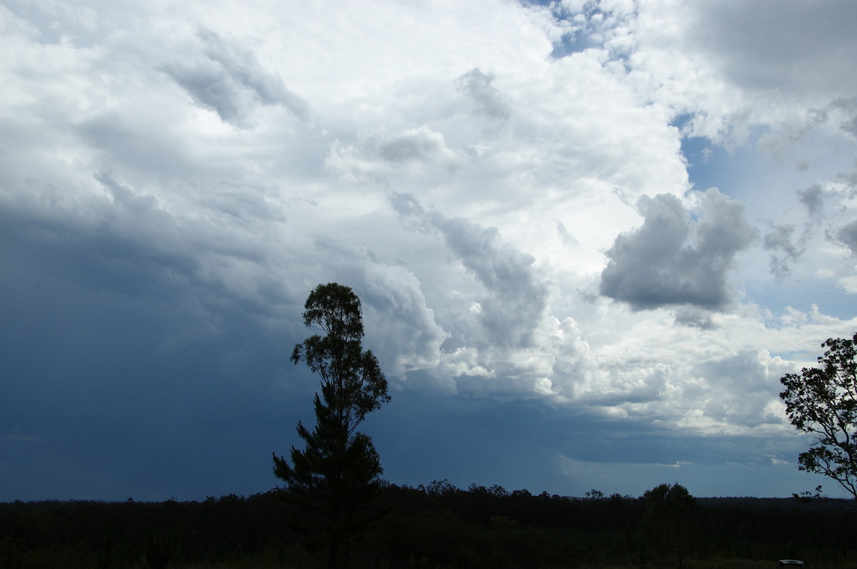thunderstorm cumulonimbus_incus : Whiporie, NSW   15 November 2008