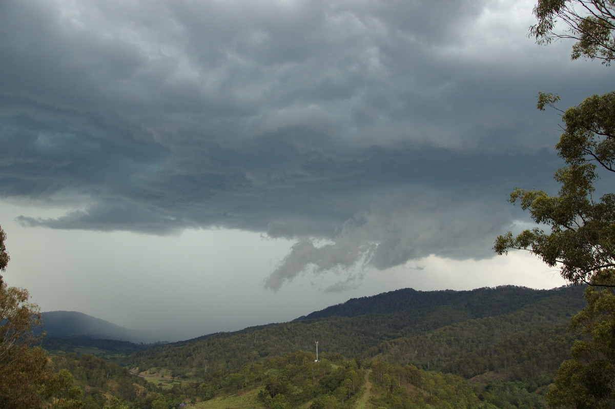 wallcloud thunderstorm_wall_cloud : Cougal, NSW   16 November 2008