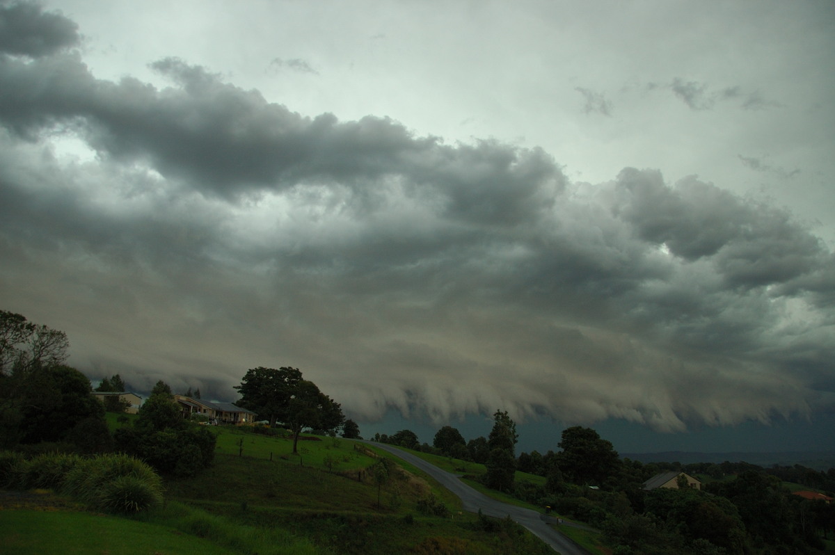 shelfcloud shelf_cloud : McLeans Ridges, NSW   20 November 2008