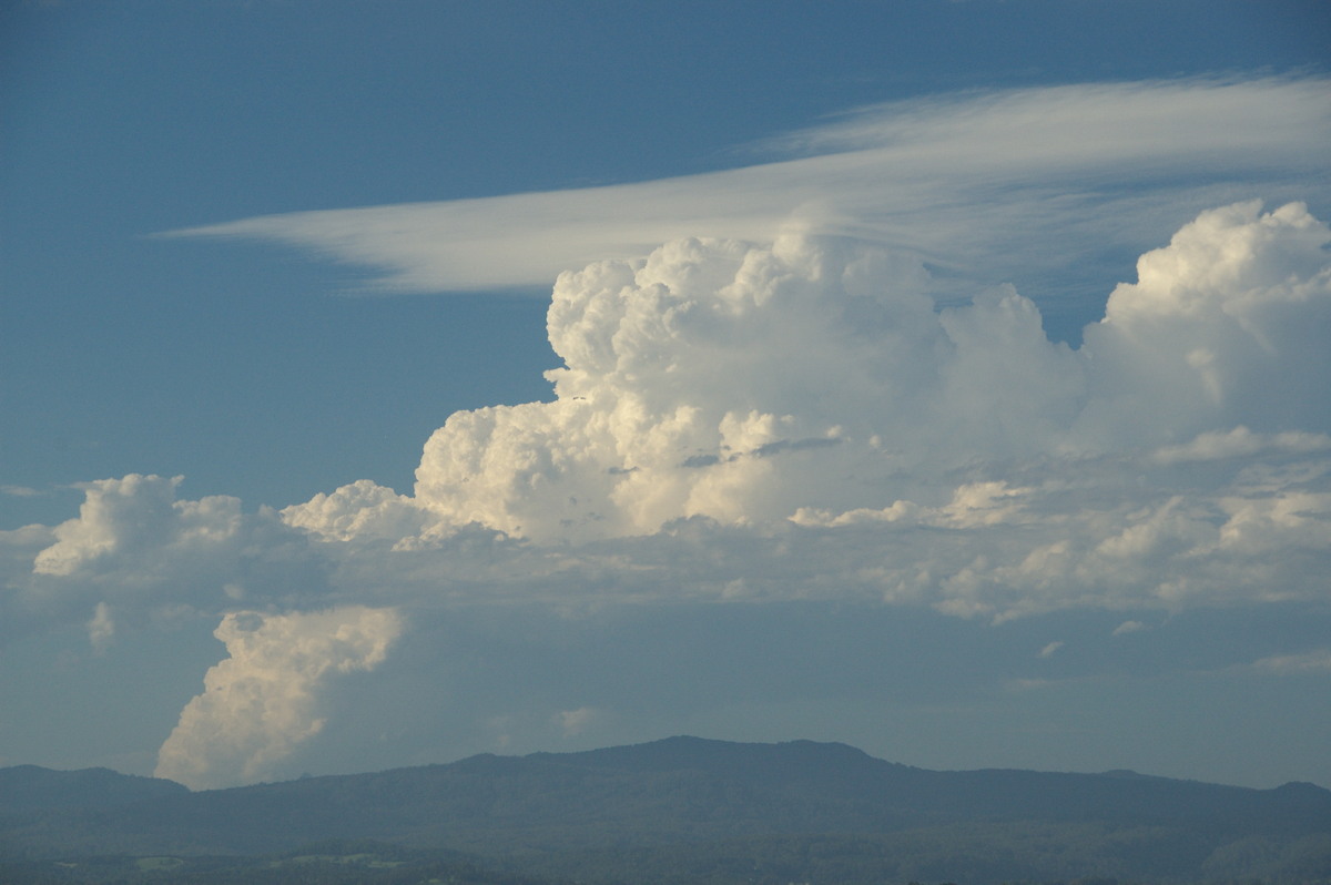 cumulus congestus : McLeans Ridges, NSW   2 December 2008