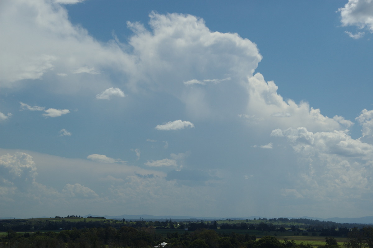 thunderstorm cumulonimbus_incus : Tregeagle, NSW   18 December 2008