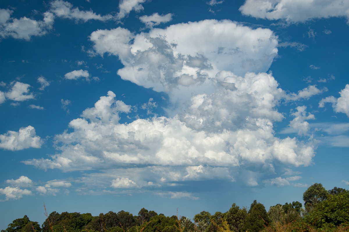 cumulus humilis : McLeans Ridges, NSW   19 December 2008