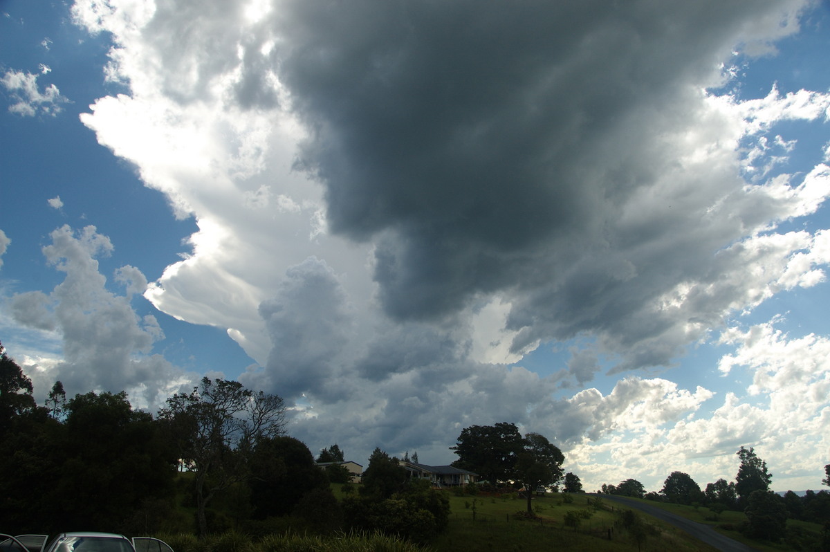 thunderstorm cumulonimbus_incus : McLeans Ridges, NSW   30 December 2008
