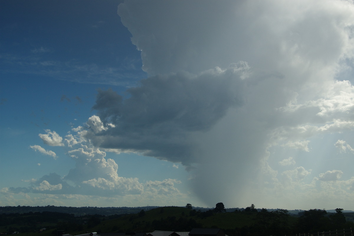thunderstorm cumulonimbus_incus : McLeans Ridges, NSW   30 December 2008