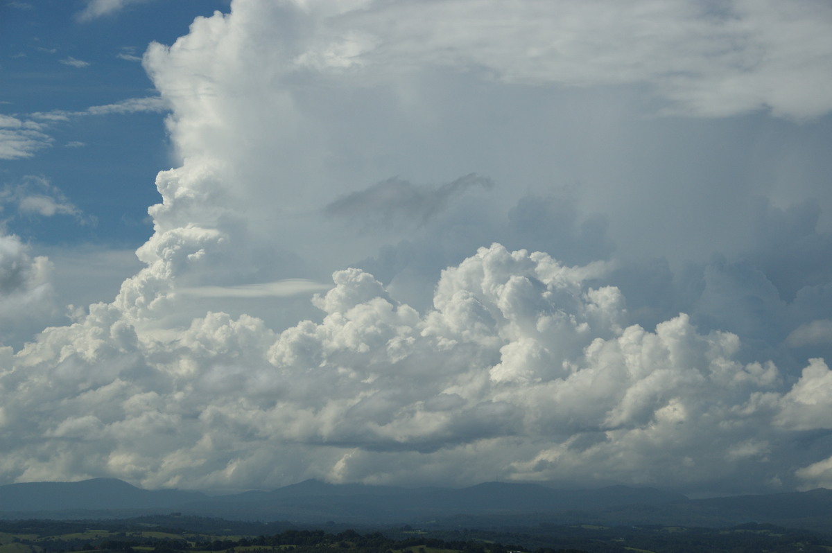 thunderstorm cumulonimbus_incus : McLeans Ridges, NSW   23 January 2009