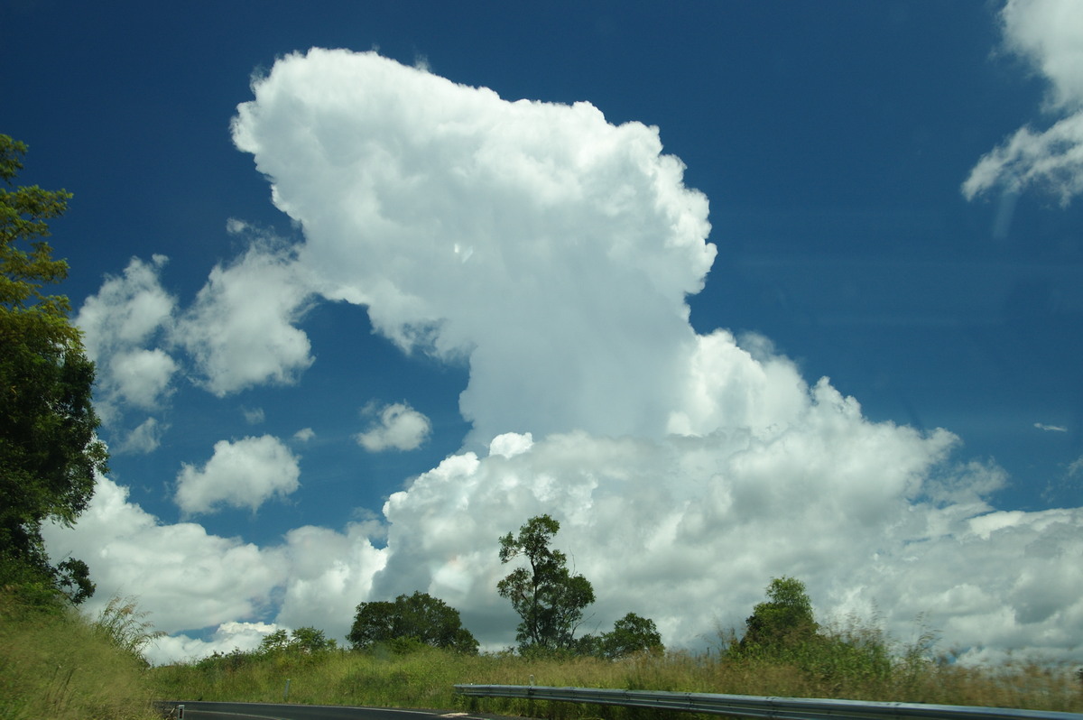 cumulus congestus : Mallanganee, NSW   24 January 2009