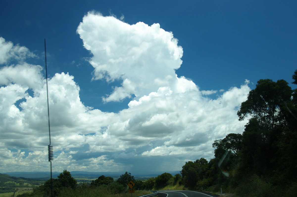 cumulus congestus : Mallanganee, NSW   24 January 2009