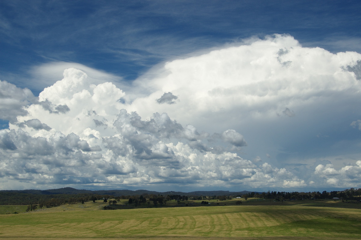 thunderstorm cumulonimbus_incus : Tenterfield, NSW   24 January 2009