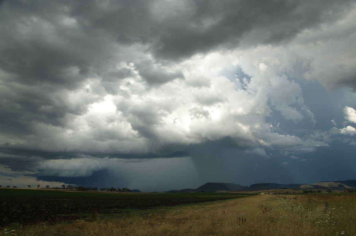 raincascade precipitation_cascade : near Warwick, QLD   24 January 2009