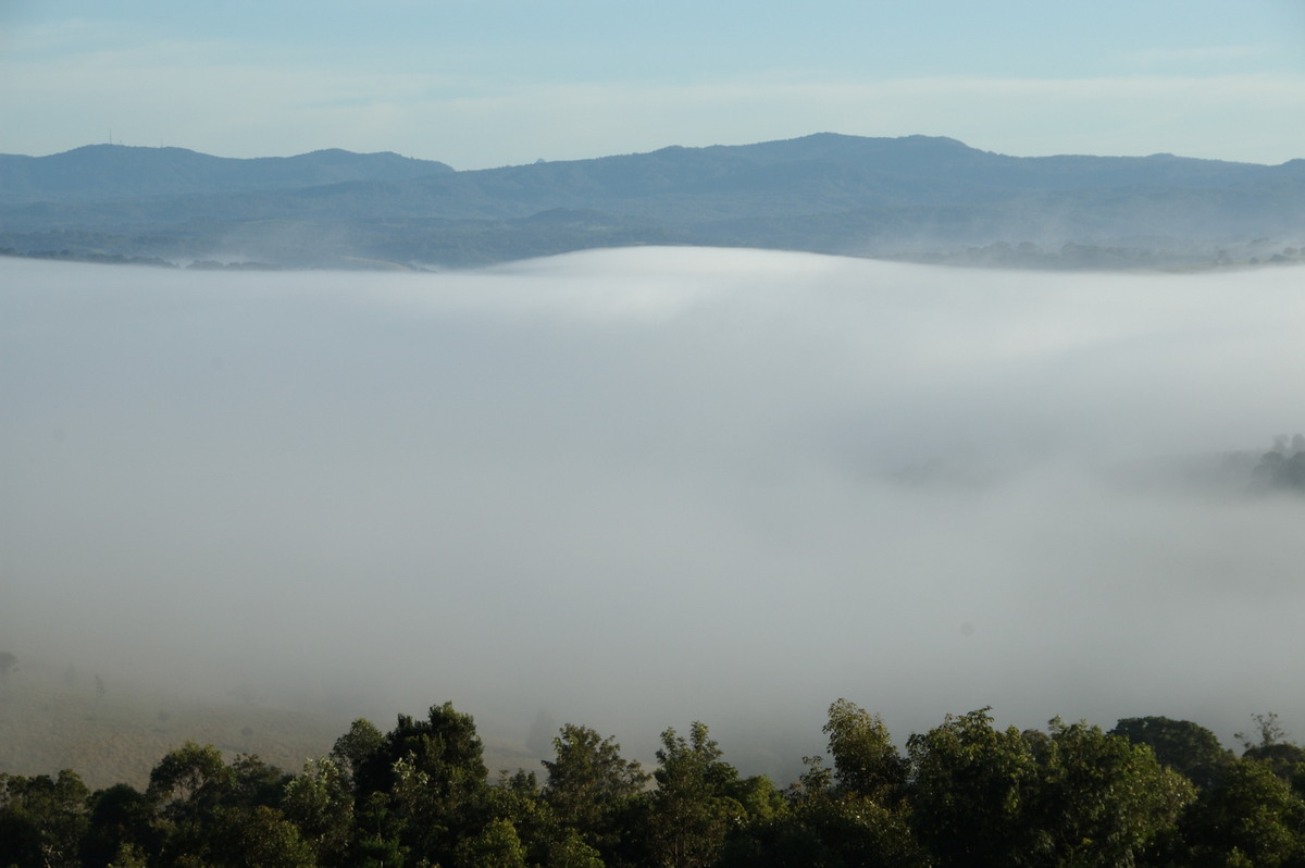 fogmist fog_mist_frost : McLeans Ridges, NSW   28 May 2009