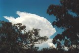 cumulonimbus_incus