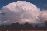 3:35pm ,16km S of Nabiac, NSW