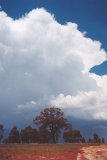 cumulonimbus_incus