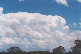 cumulonimbus_incus