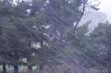 precipitation_rain