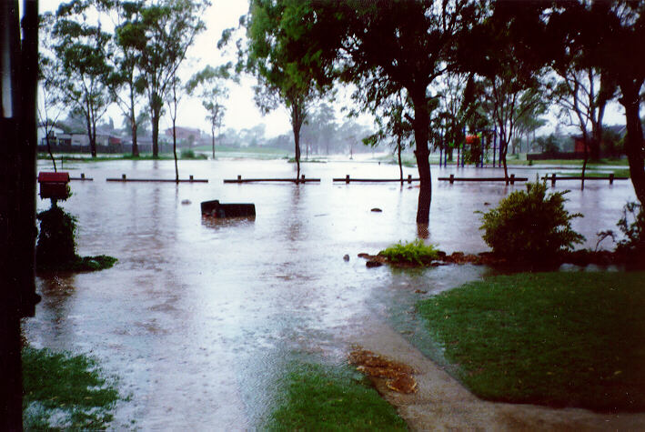 contributions received : Prospect, NSW<BR>Photo by Peter Brien   1 November 1987