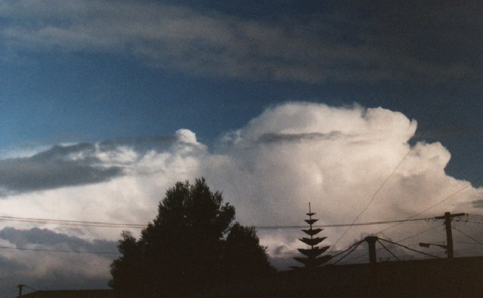 thunderstorm cumulonimbus_calvus : Coogee, NSW   1 September 1989