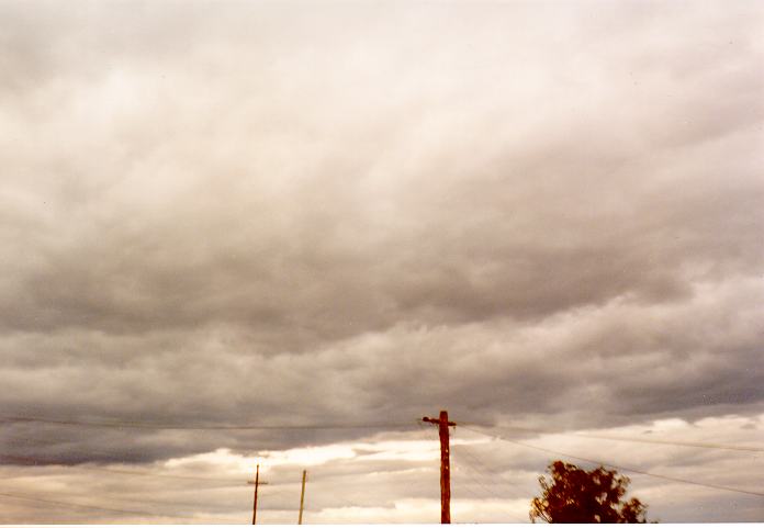 stratocumulus stratocumulus_cloud : Schofields, NSW   21 April 1990