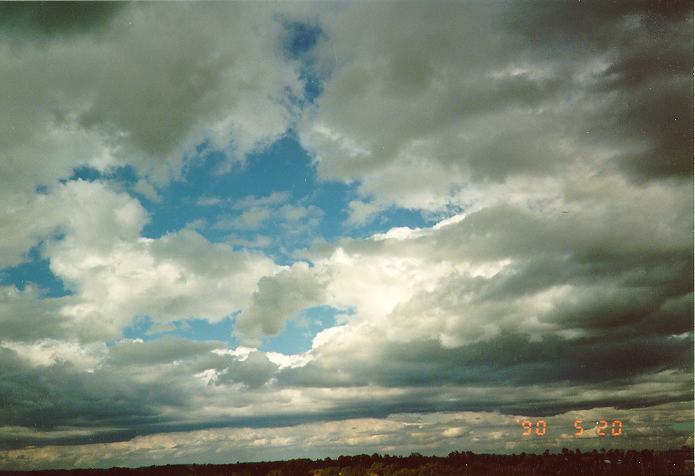 cumulus mediocris : Schofields, NSW   20 May 1990