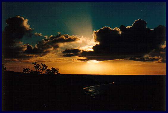 contributions received : Stradbroke Island, QLD<BR>Photo by Jeff Truscott   1 January 1994