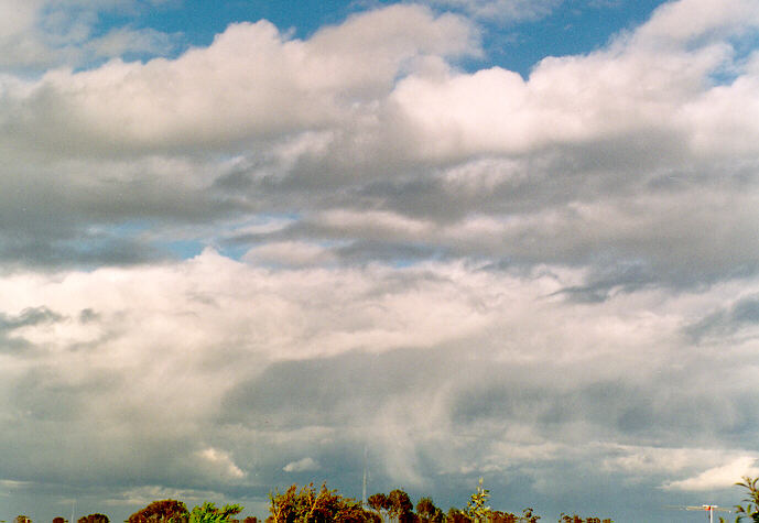 cumulus mediocris : Oakhurst, NSW   7 October 1994